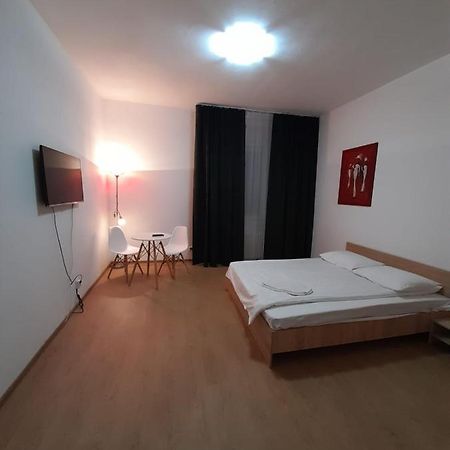Piata Unirii- 1 Room Studio Apartment Timişoara Exterior foto