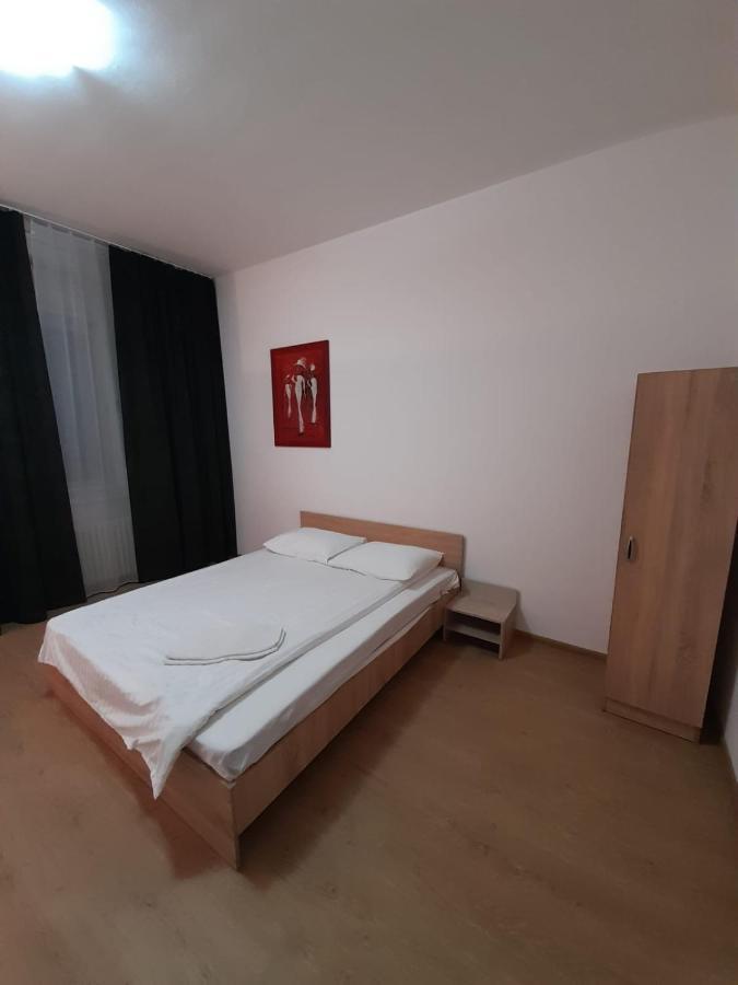 Piata Unirii- 1 Room Studio Apartment Timişoara Exterior foto